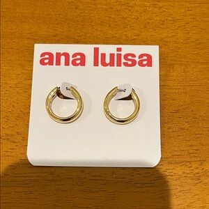 Ana Luisa Gold Hoop Earrings (NEW)